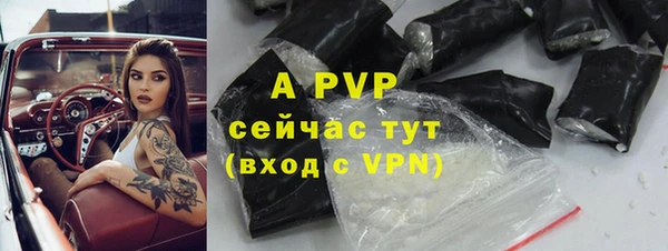 прущие грибы Медногорск