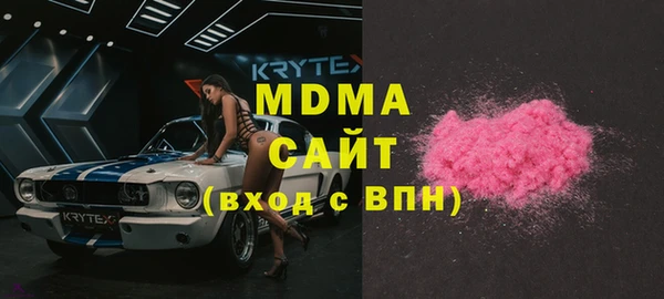 прущие грибы Медногорск