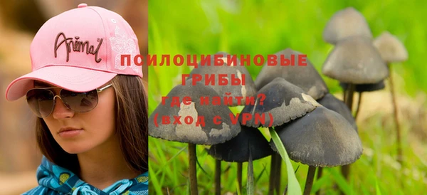 прущие грибы Медногорск