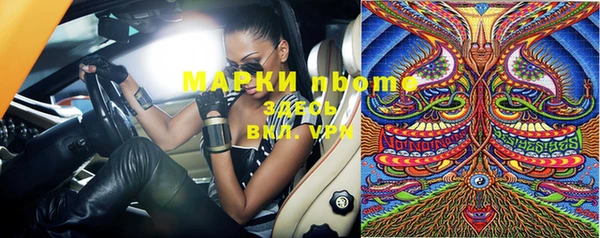 стаф Магас