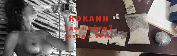 стаф Магас
