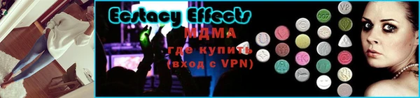 стаф Магас