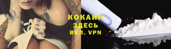 прущие грибы Медногорск